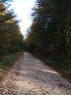 Nervion şelalesi İspanya 'nın en yüksek şelalesidir..