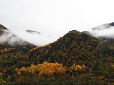Torla, Ordesa 'daki dağ kasabası. İspanya.
