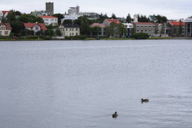 Reykjavk, İzlanda 'nın başkenti ve en büyük şehri..