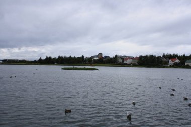Reykjavk, İzlanda 'nın başkenti ve en büyük şehri..