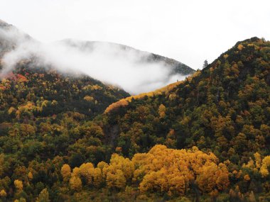 Torla, Aragonese kasabası Ordesa 'nın doğal parkında. İspanya.