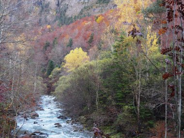 Ordesa Doğal Parkı 'ndaki Cola de Caballo' ya gidiyoruz. İspanya.