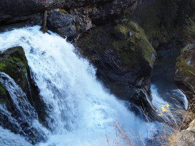 Ordesa Doğal Parkı 'ndaki Cola de Caballo' ya gidiyoruz. İspanya.