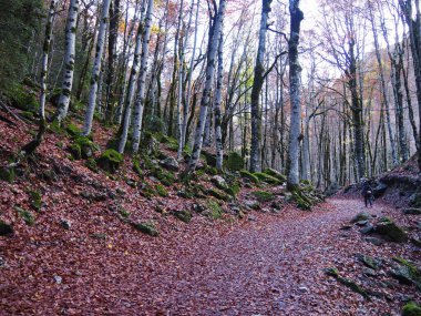 Huesca, İspanya 'daki Ordesa Doğal Parkı' nda yürüyüş rotası..