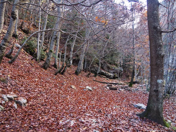 Hiking Route Ordesa Natural Park Huesca Spain — Zdjęcie stockowe