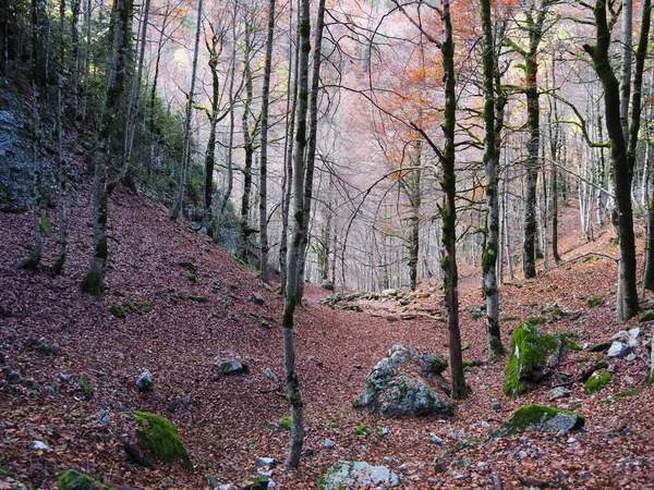 Hiking Route Ordesa Natural Park Huesca Spain — Photo