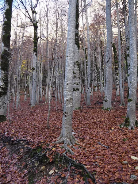 Hiking route in the Ordesa Natural Park, in Huesca, Spain.