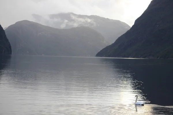 Dirdal Uma Cidade Noruega Margens Fiorde — Fotografia de Stock