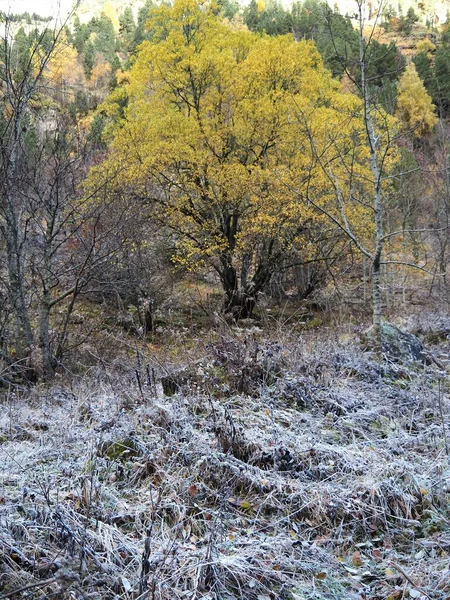 Ordesa Cola Caballo Yolunda Sonbaharın Ortasında — Stok fotoğraf