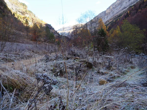 Ordesa, on the way to Cola de Caballo, in the middle of autumn.