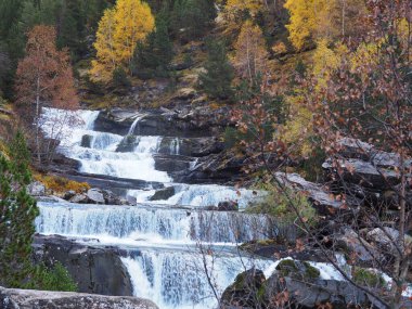 Ordesa, Huesca 'daki Cola de Caballo yolunda. İspanya.