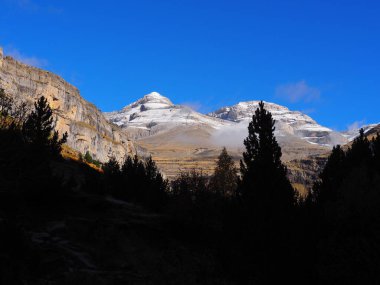 Ordesa, Huesca 'daki Cola de Caballo yolunda. İspanya.