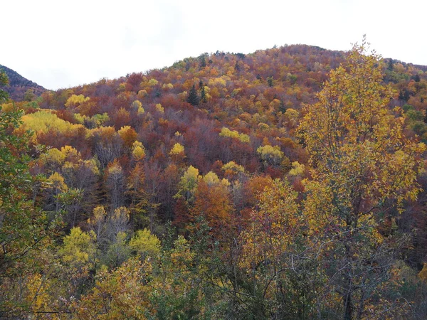 Autumn Mountains Huesca Ordesa Spain — Stok fotoğraf