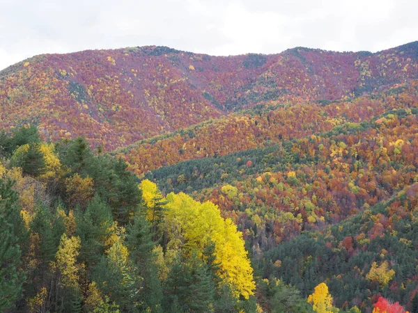 Autumn Mountains Huesca Ordesa Spain — Stok fotoğraf