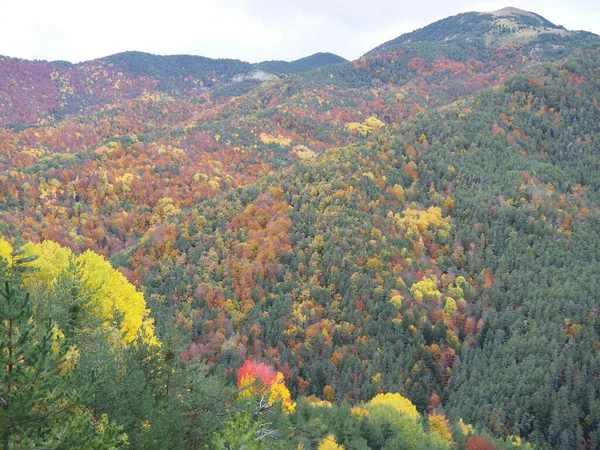 Autumn Mountains Huesca Ordesa Spain — 스톡 사진