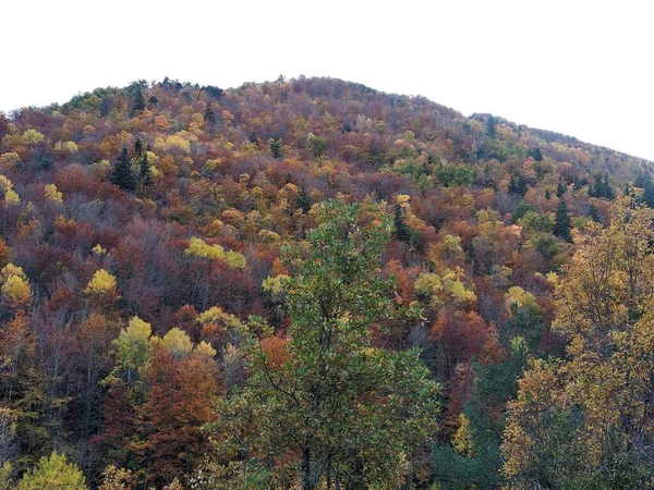 Jesień Górach Huesca Niedaleko Ordesa Hiszpania — Zdjęcie stockowe