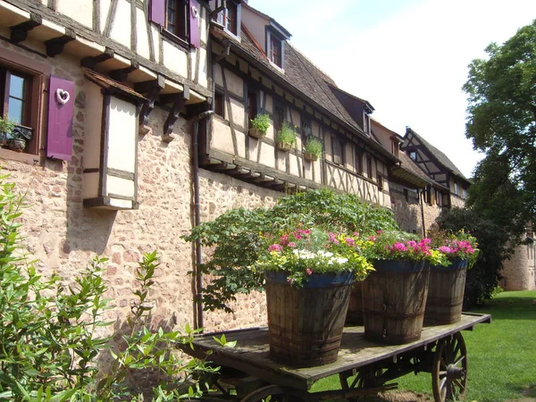 Riquewihr French Town Located Alsace Area —  Fotos de Stock