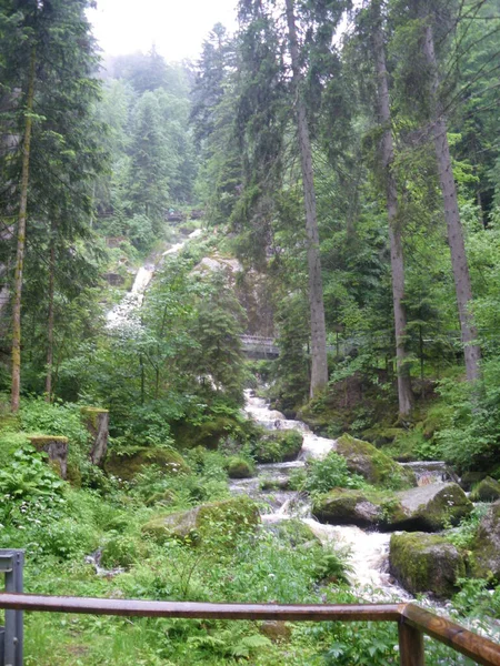 Triberg Kara Orman Şehri Guguklu Saatleri Şelaleleriyle Almanya — Stok fotoğraf