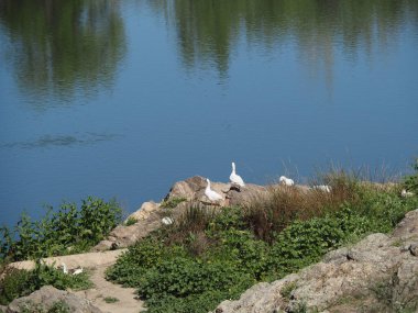 Toledo, duvarlarla çevrili Castilla La Mancha şehri. İspanya.