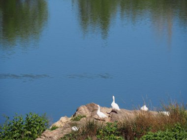 Toledo, duvarlarla çevrili Castilla La Mancha şehri. İspanya.