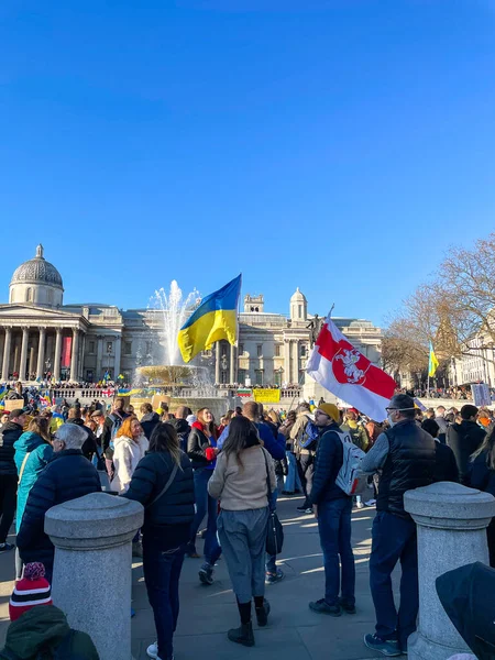 England London 2022 Ukrainare Som Bor London Protesterar Mot Den — Gratis stockfoto