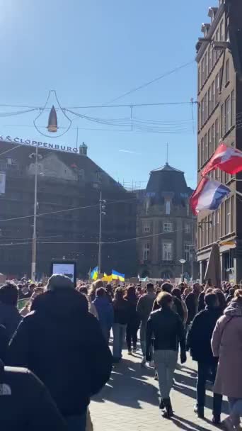 Netherlands Amsterdam 2022 People Ukrainian Flags Placards Participate Protest War — Free Stock Video