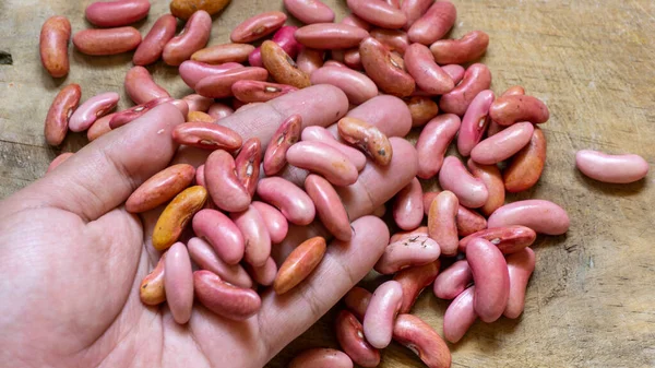 Close up of red beans. red beans background seeds