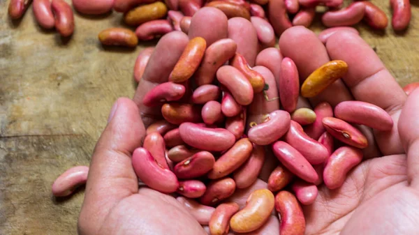 Close up of red beans. red beans background seeds