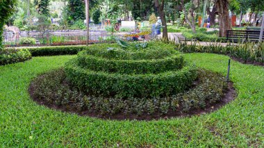 Süslü, yuvarlak bitki ve çiçekler. 