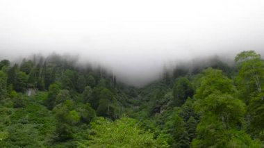 Artvin Macahel 'de sis dumanının 4K zaman aşımı görüntüsü.