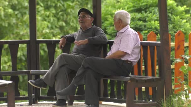 Dois Velhos Amigos Estão Sentados Pavilhão Conversando — Vídeo de Stock