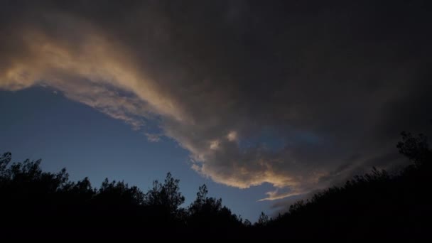 Buenas Tardes Árboles Cielo Azul Nubes Lapso Tiempo — Vídeo de stock