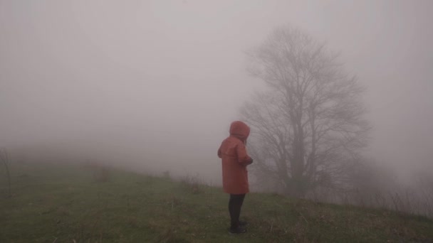 Seseorang Berjalan Atas Berkabut Berkabut Jalan Pedesaan Saat Matahari Terbit — Stok Video