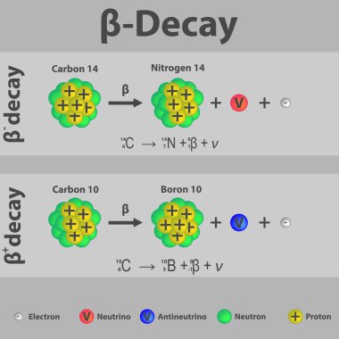 Beta plus and Beta minus Decay of carbon infographic with equation. Formation of new element by a change in number of protons in nucleus. clipart