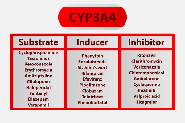 Cyp3A4シトクロムP450酵素医薬品基質 阻害剤および誘導体の例 薬理学のための 生化学教育 — ストックベクタ