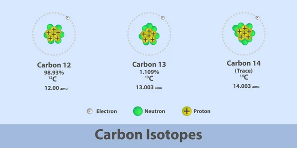 Karbon Zotopları Yapı Kimyası Infographic Protium Döteryum Trityum Kimyasal Yararlı — Stok Vektör