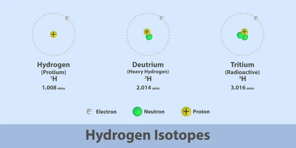 Hidrojen Zotopları Yapı Kimyası Infographic Protium Döteryum Trityum Proton Nötron — Stok Vektör