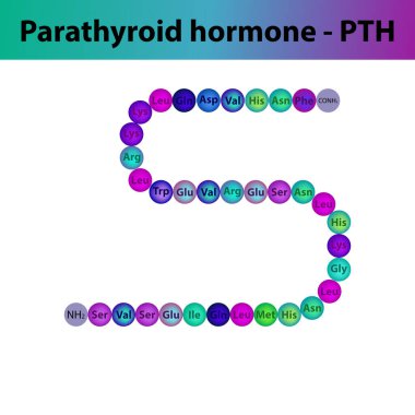 PTH Parathyroid hormone hormone peptide primary structure. Biomolecule schematic amino acid sequence on white background. clipart