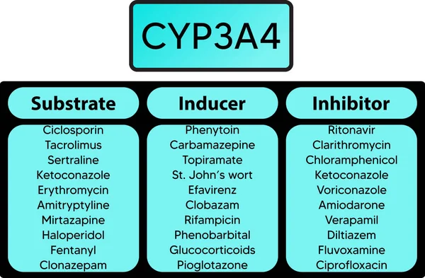 Cyp3A4 Cytokrom P450 Enzymsubstrat Hämmare Och Inducerare För Farmakologi Medicin — Stock vektor