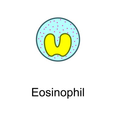 Eosinophil cellular schematic structure vector illustration, eps10 icon