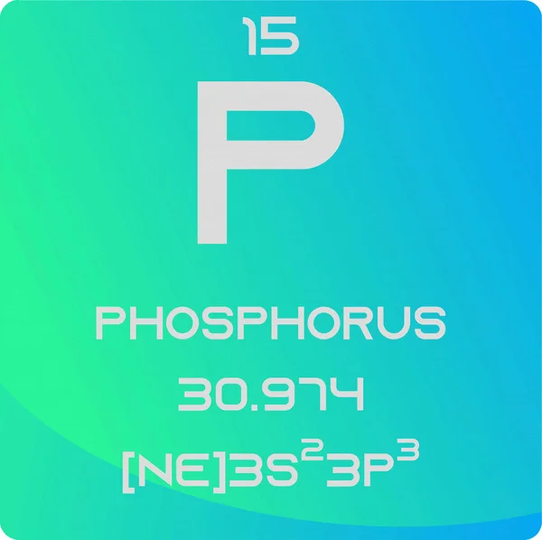 Fosfor Non Reaktif Metal Kimyasal Element Periyodik Tablosu Basit Düz — Stok Vektör