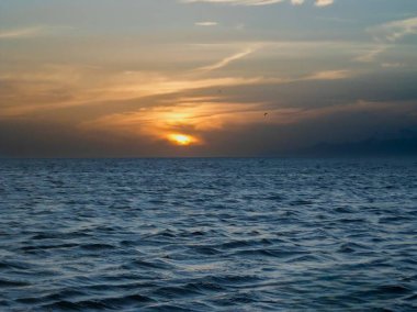 Atardecer on la playa 