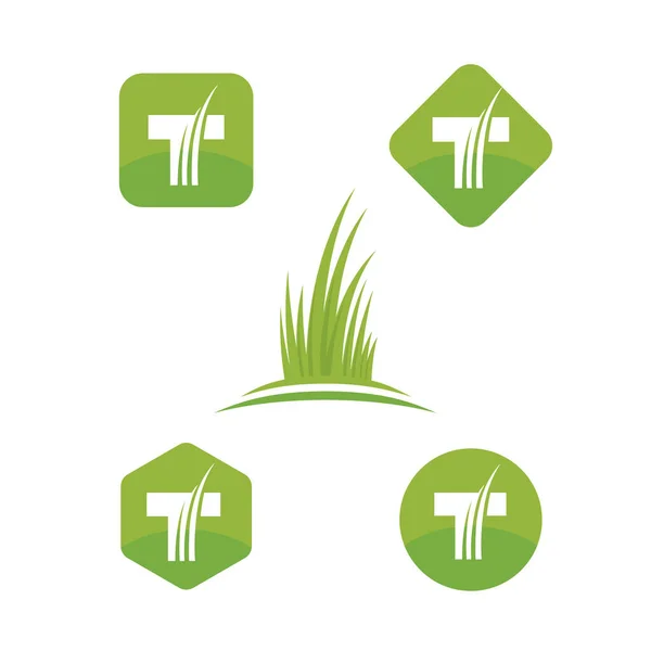 Artificial Turf Lawn Garden Care Company Creative Design Element Green — Stok Vektör