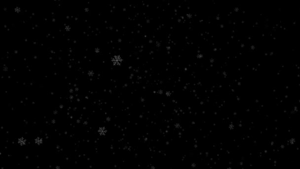 Winter Schneeflocken Alpha Kanal Echter Schnee Isoliert Für Die Einfügung — Stockvideo