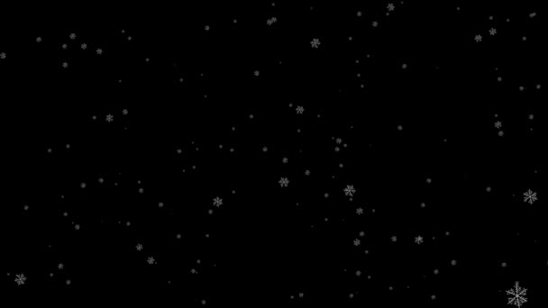 Μικρές Νιφάδες Χιονιού Που Πέφτουν Για Σύνθεση Μαύρο Φόντο Νιφάδες — Αρχείο Βίντεο