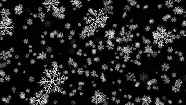 Witte Sneeuwvlokken Voor Compositie Een Zwarte Achtergrond Mooie Decoratieve Sneeuwvlokken — Stockvideo
