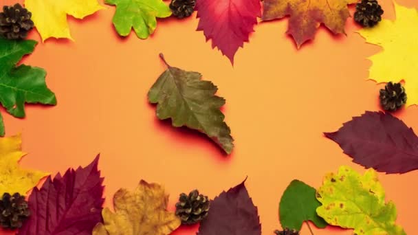 Stop Beweging Animatie Van Wervelende Herfst Gebladerte Kopieer Ruimte — Stockvideo