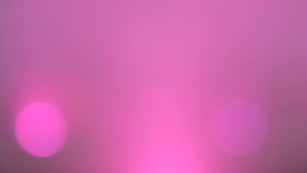 Pastelově Růžové Pozadí Blikajícími Žárovkami Rozmazané Pozadí Bokeh Kopírovat Prostor — Stock video