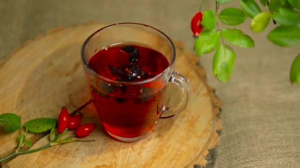 ハーブや赤い果実のチンキ 薬用バラのお茶 ホメオパシー — ストック動画
