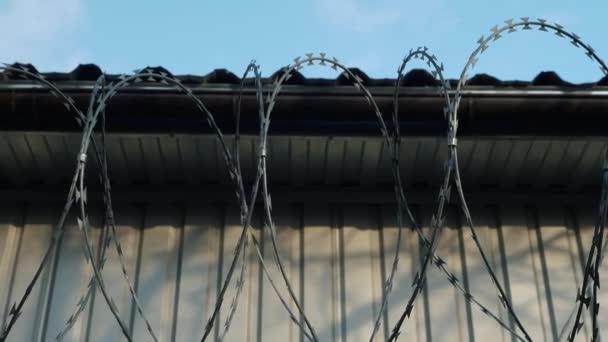 刑務所のフェンス 鉄条網 スローモーションで刑務所の電気フェンス 国境柵 — ストック動画